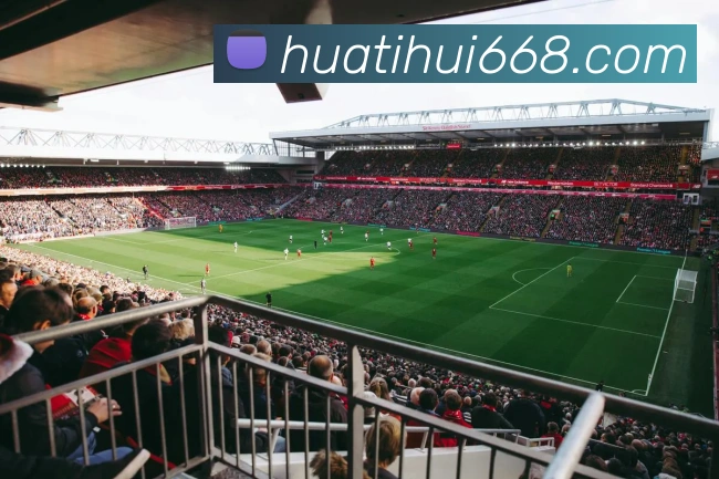 App Interface Preview